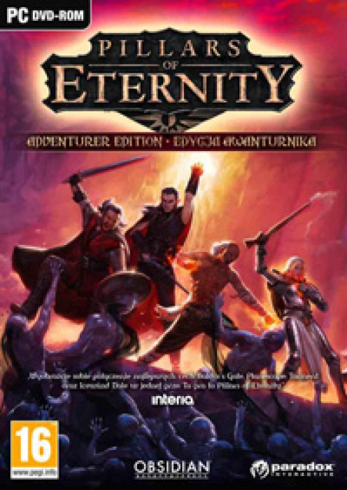 Okładka Pillars of Eternity: Hero Edition
