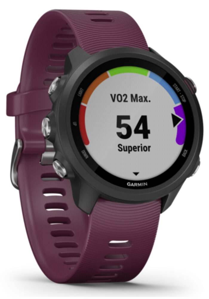 Okładka Smartwatch Garmin Forerunner 245 GPS (bordowy)
