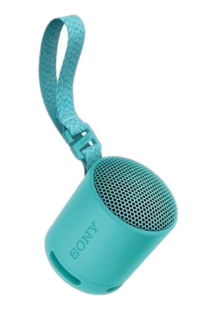 Okładka Głośnik przenośny Sony SRS-XB100 Niebieski